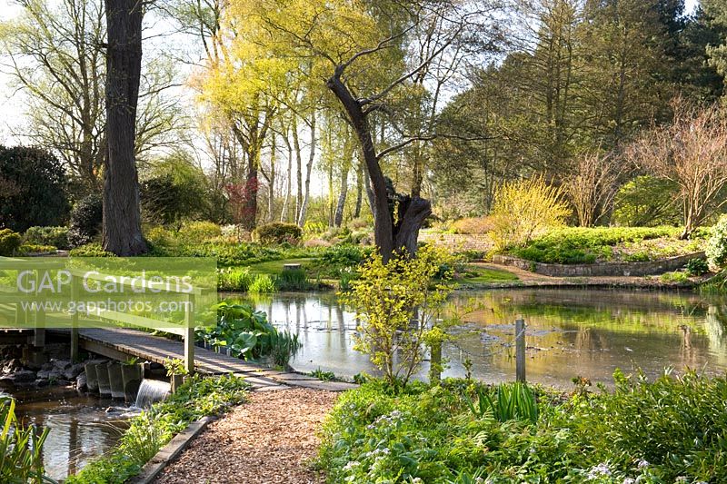Unstructured country garden with wooden bridge over mill pond sluice