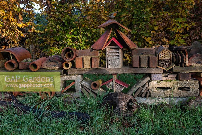 Autumn garden bug insect hotel 