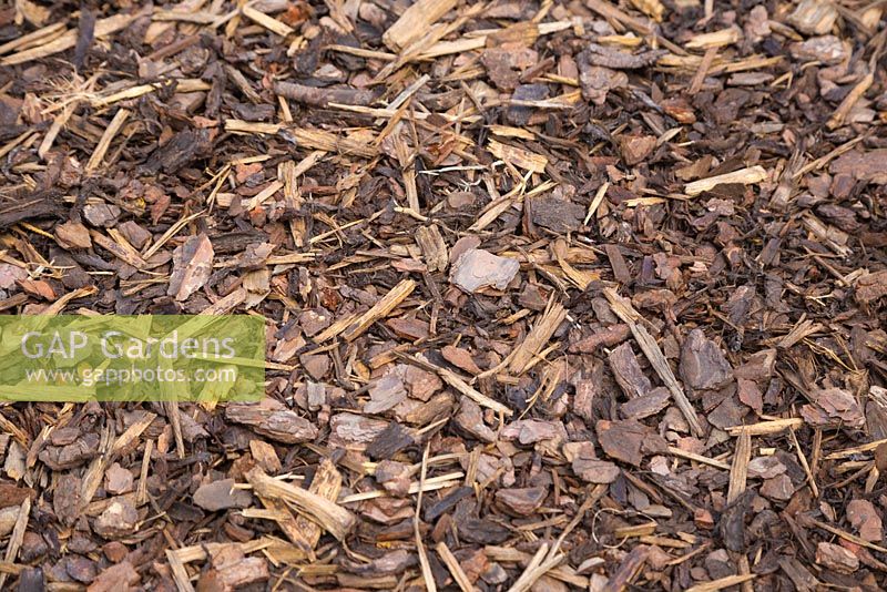 Bark chippings used as ground covering