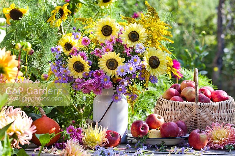 Floral and harvest display of Asters, Sunflowers and Apples.