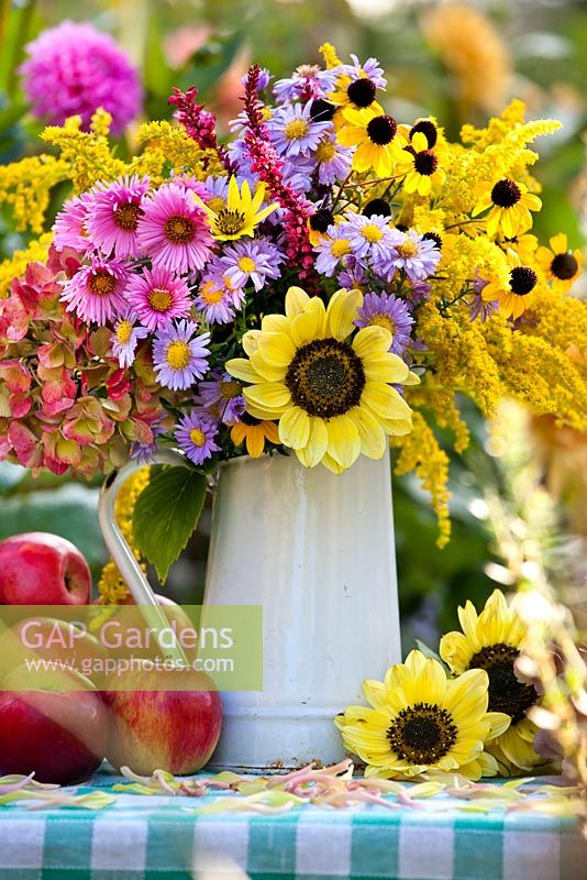 Floral and harvest display of Asters, Echinacea purpurea, Persicaria 'Firetail', Sunflowers and Apples.