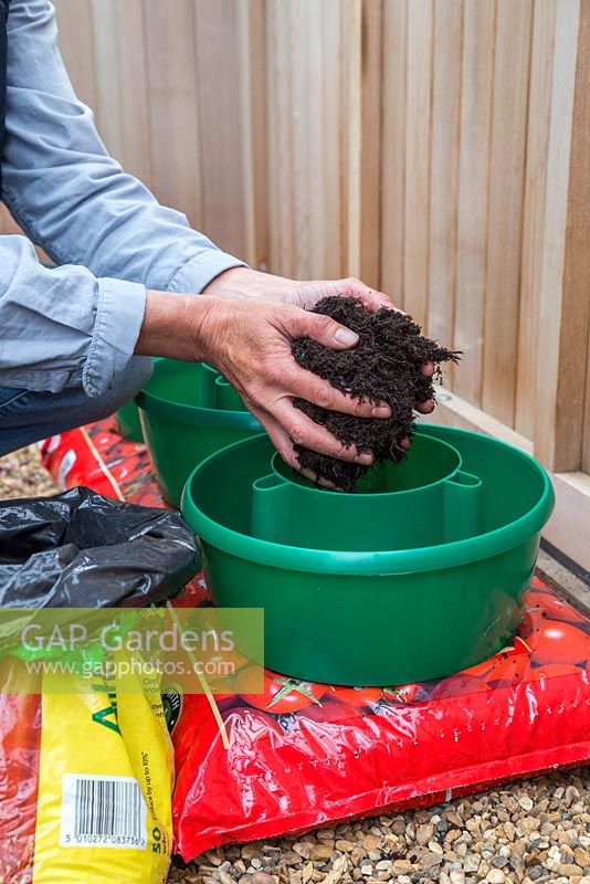 Fill the centre of the plant halos with compost