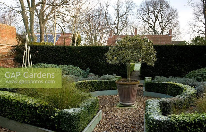 Frosty winter garden in February parterre of low box hedge shrubs and grasses 