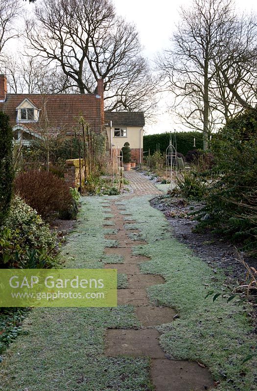 Frosty winter garden in February. Offset slab path through lawn between borders towards house 
