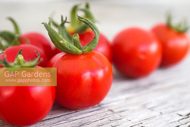 Tomato 'Gardener's Delight' on wooden surface