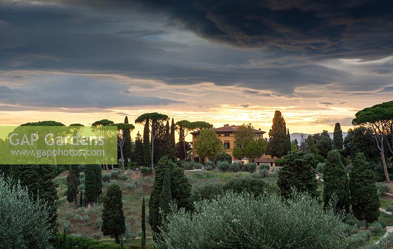 Sunset over the olive groves and view to other villas on the estate. La Pietra, Florence, Italy.