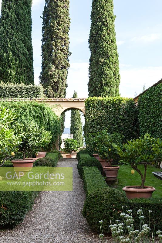 The Winter Garden. Hedges of box and citrus in pots. Cupressus sempervirens. Le Balze, Florence, Tuscany, Italy. September. Garden designed by Cecil Pinsent  in 1912 for American Charles Augustus Strong. 