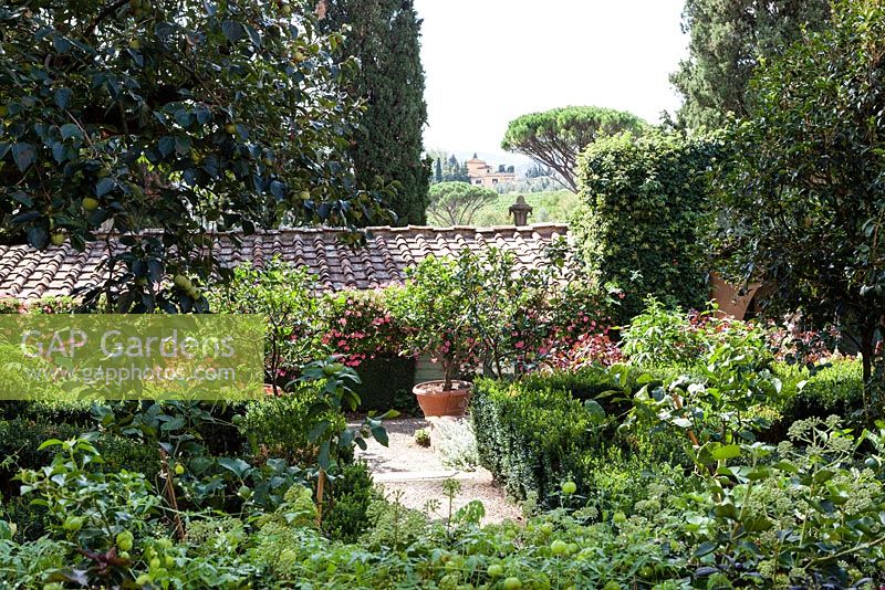 The Limonaia. Hedges of box. Villa I Tatti, Florence, Italy. September. Garden designed by Cecil Pinsent for Bernard Berenson. Built between 1911 and 1919 and considered one of the first examples of Renaissance Revival gardens. Owned by Harvard University.