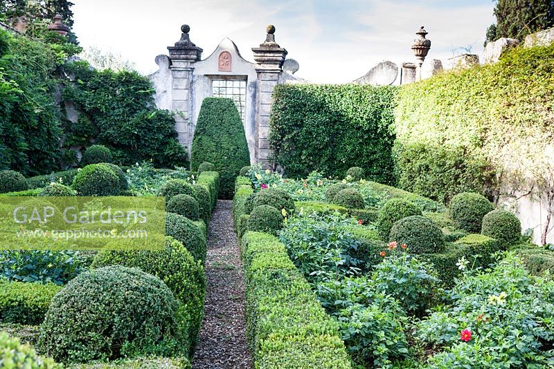 The Secret Garden. Hedges of box with planting of Dahlias. Villa Capponi, Florence, Tuscany, Italy. September. Started at the end of the C16th for Ginodi Capponi. Purchased by 1882 to Lady Elizabeth Scott, grandmother to the late Queen Mother