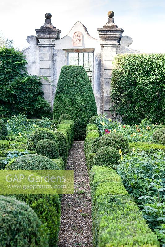 The Secret Garden. Hedges of box with planting of Dahlias. Villa Capponi, Florence, Tuscany, Italy. September. 