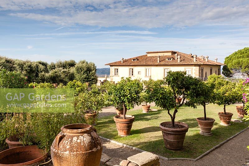 The Upper Terrace or Orangery. Citrus in terracotta pots. View to the Villa. Villa Gamberaia, Settignano, nr Florence, Tuscany, Italy. September.