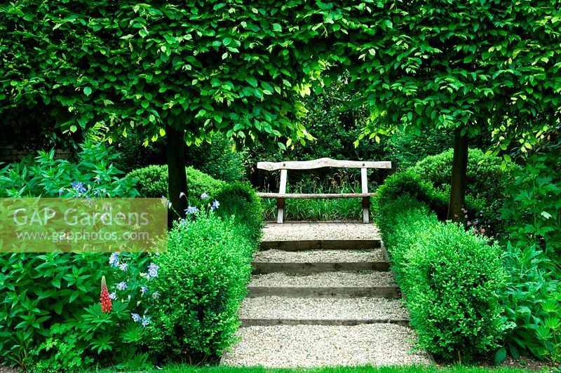 Bench seat framed by pleached trees at end of gravel path and steps