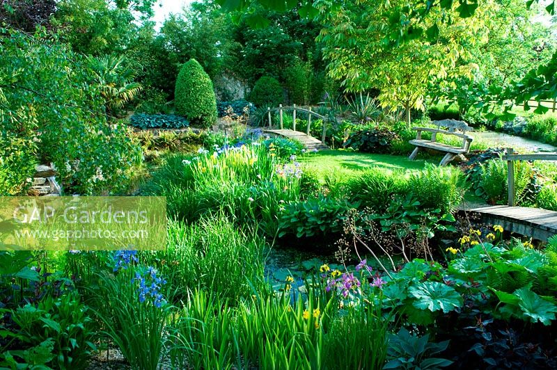Overview of waterside planting with water course and a small island with two bridges,  bench seat Irises, hostas, ligularias  aesculus specimen tree evening light. 