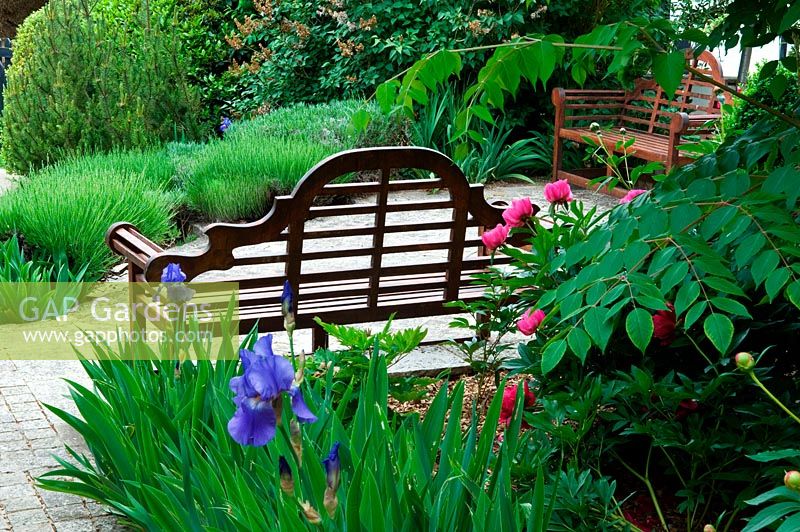 Edwin Lutyens bench seat on terrace with Irises and Paeonia 