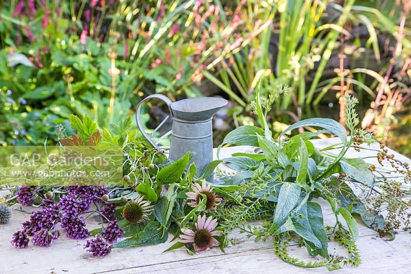 Plants required for creating an autumnal bouquet. Verbena bonariensis, Echinops ritro, Echinacea Large Flowered, spent Japanese anemone and seed heads of Dill, Comfrey and Crocosmia.