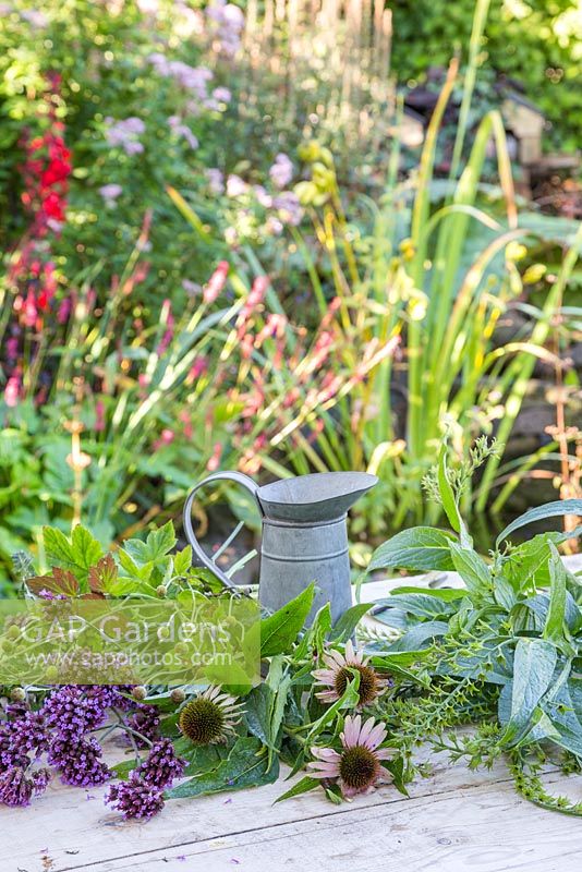 Plants required for creating an autumnal bouquet are Verbena bonariensis, Echinops ritro, Echinacea Large Flowered, spent Japanese anemone and seed heads of Dill, Comfrey and Crocosmia.