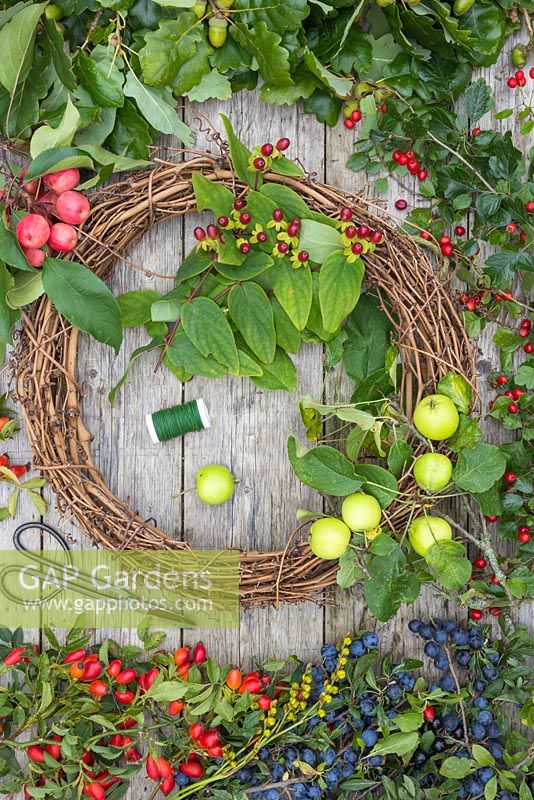 Materials required to construct a Berry wreath are crafting wire, scissors, Wild Crab Apples, Hawthorn - Crataegus, Sloe berries - Prunus spinosa, Rose hips, English Oak - Quercus robur and Crocosmia seed heads