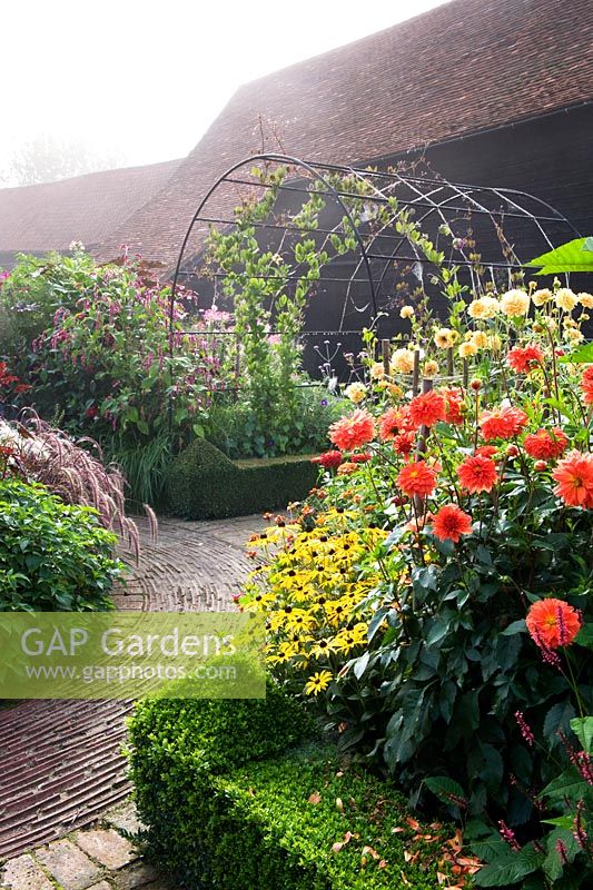 Colourful tropical-style borders with cleome, dahlia, verbena, rudbeckia, box hedging and tile-edge circular path with climbers on metal tunnel.
