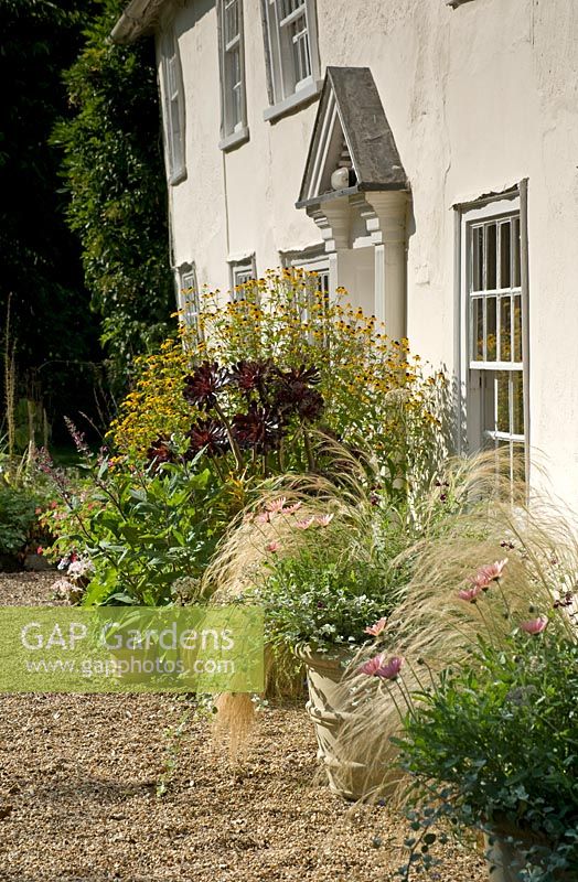 Front of cream painted farmhouse with opulently planted containers with grasses and aeonium 
