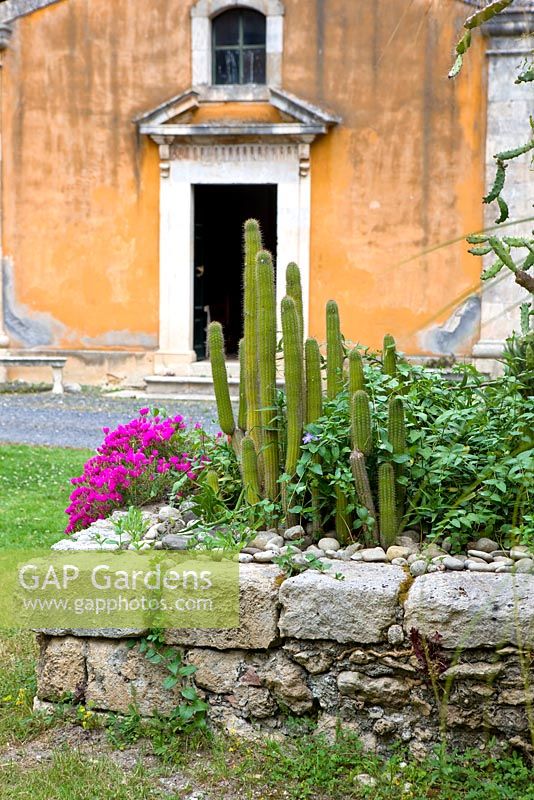 The end of one of the stone jetties in front of St. Andrews chapel.  Mixed planting including cacti. 