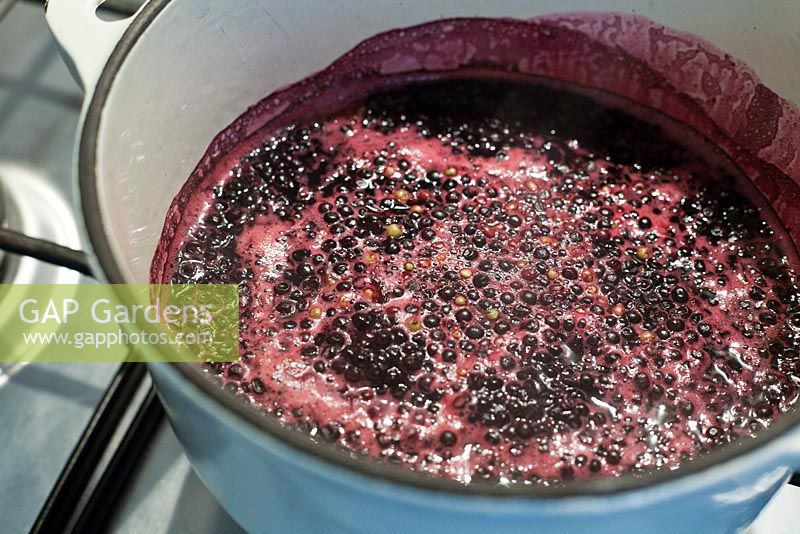 Cooking harvested berries to create homemade elderberry corial