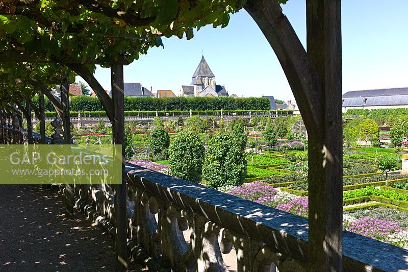 Overlooking the potager garden from a vine shaded terrace at Chateau de Villandry, Loire Valley, France
