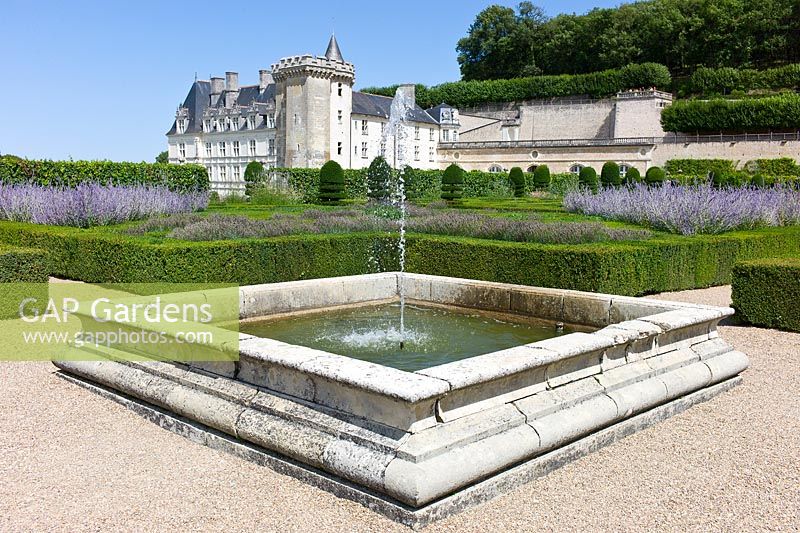 A fountain in the formal garden with clipped hedges of Buxus sempervirens and Taxus topiary with Perovskia at Chateau de Villandry, Loire Valley, France