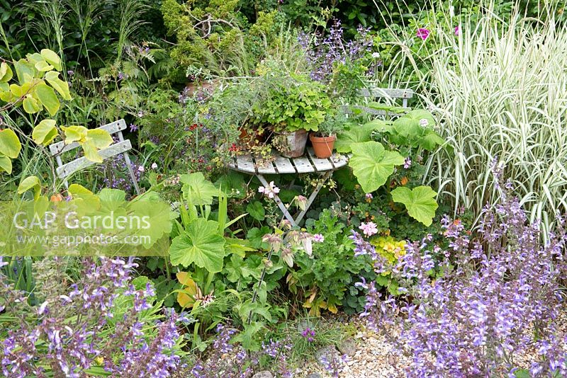 Gravel path leading to a small garden table with potted plants on it. Salvia, Phalaris