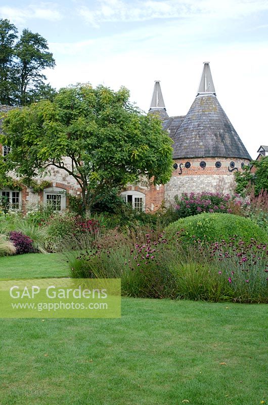 Bury Court with oast houses, perennial planting under a Koelreuteria paniculata tree, plants include Echinacea 'Fatal Attraction', Stipa tenuissima 'Pony Tails', Oreganum vulgare, clipped Buxus sempervirens surrounded by Dianthus carthusianorum