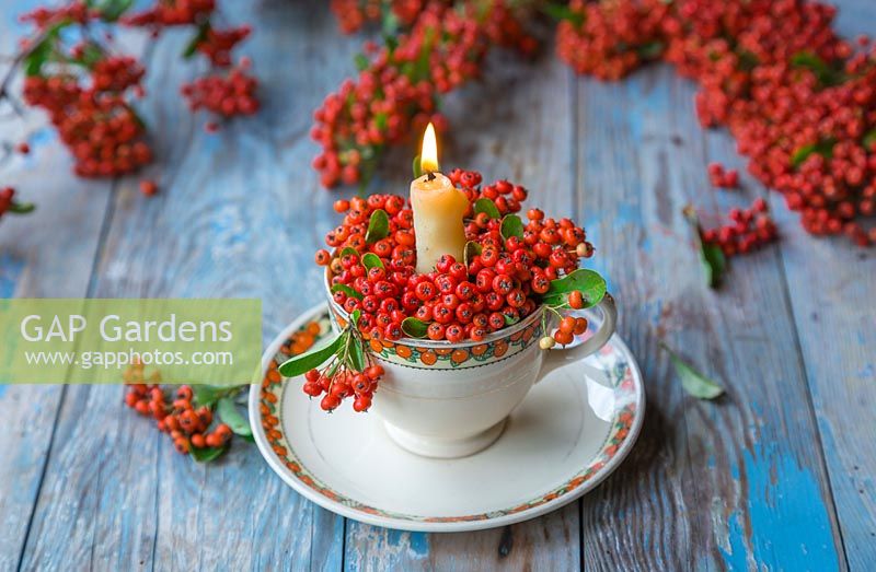 Ceramic tea cup used as a candle holder, decorated with Pyracantha berries