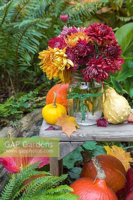 Autumnal display of gourds and a vase of chrysanthemums in a shady setting