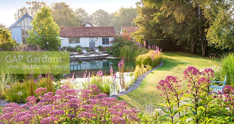 View of a house and swimming pond in the early morning sun. 