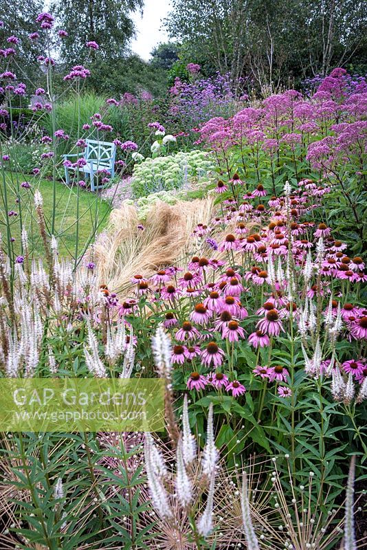 View of Wooden Bench surrounded by a mixed border. July. 