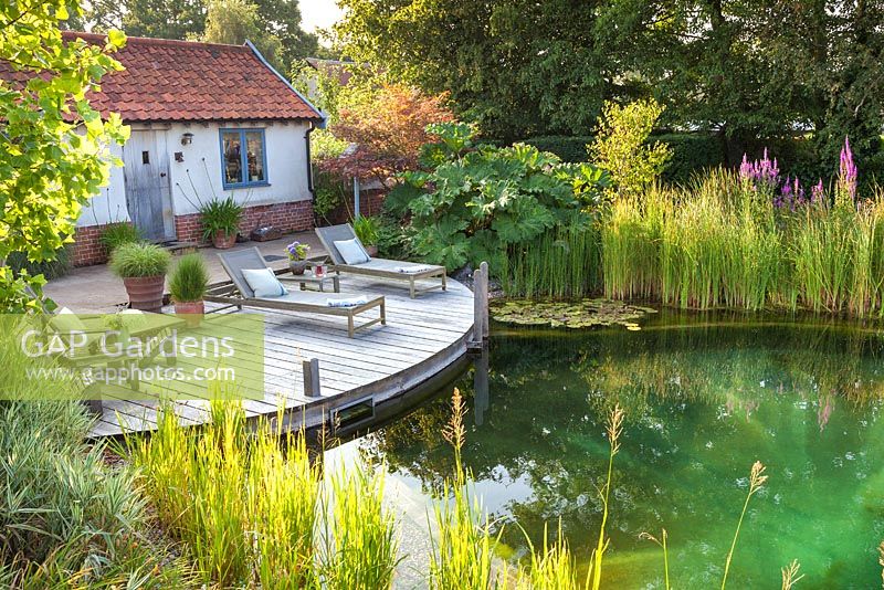 Tranquil summer scene with swimming pond, recliners and decking. 