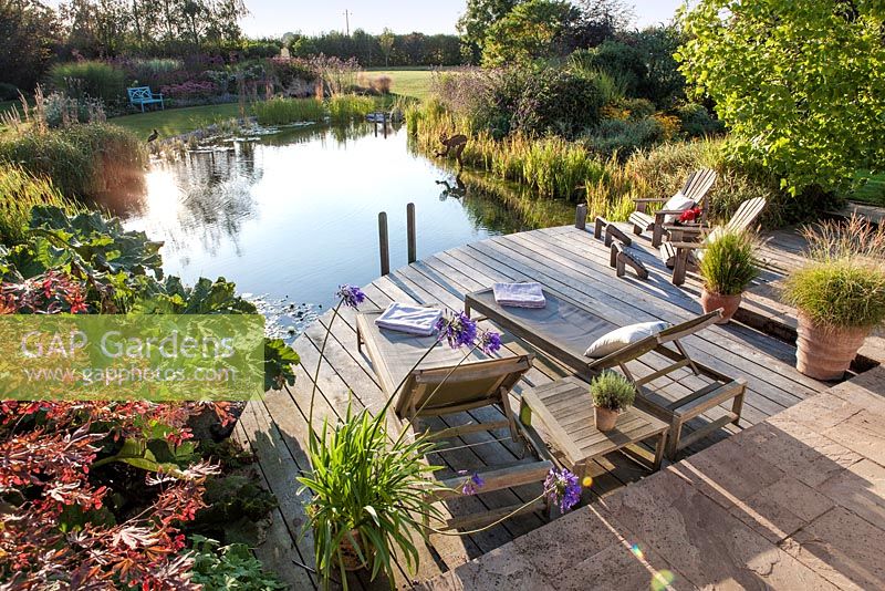 Tranquil scene of swimming pond and decking area at sunset.