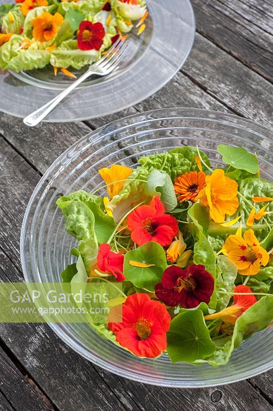 Salad with edible flowers in glass bowl - nasturiums and marigold petals
