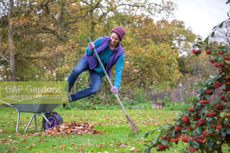 A woman leaping with joy after raking the garden lawn of fallen autumnal leaves