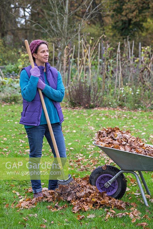 A woman leaning on a garden rake with a pile of raked autumnal leaves