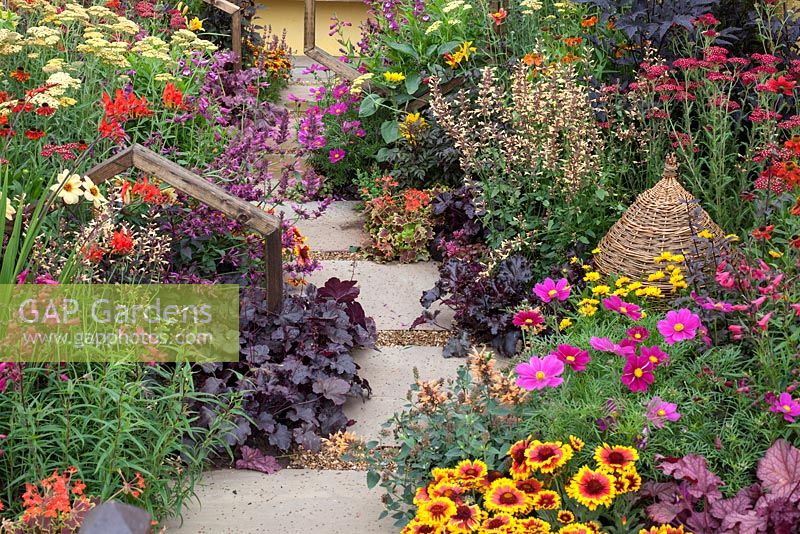 dense, colourful planting for the attraction of bees in the 'Melitta' Garden, one of the back to back gardens at RHS Tatton Flower Show 2015