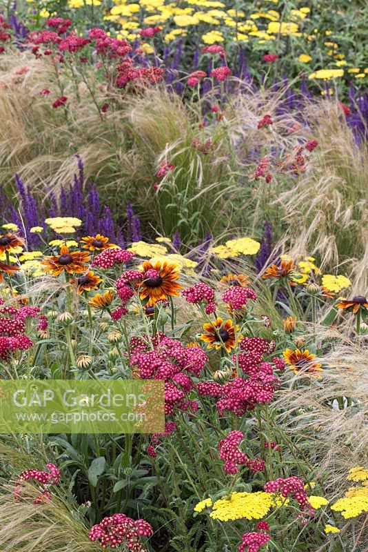 Dense colourful planting to represent an 'energy flash' of plants in the 'Quantum of Light' Garden at RHS Tatton Flower Show 2015