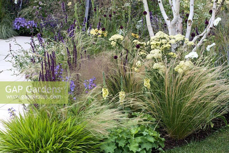 Soft planting of light catching plants in 'Light Catcher' at  RHS Tatton Flower Show 2015