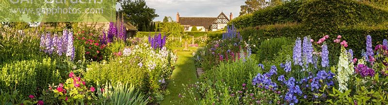 A panoramic view from the Sundial Garden towards the 16th century house at Wollerton Old Hall Garden, Shropshire. Planting includes: Campanula lactiflora, Delphinium, Knautia macedonica, Phlox paniculata, Salvia microphylla and David Austin Roses. 