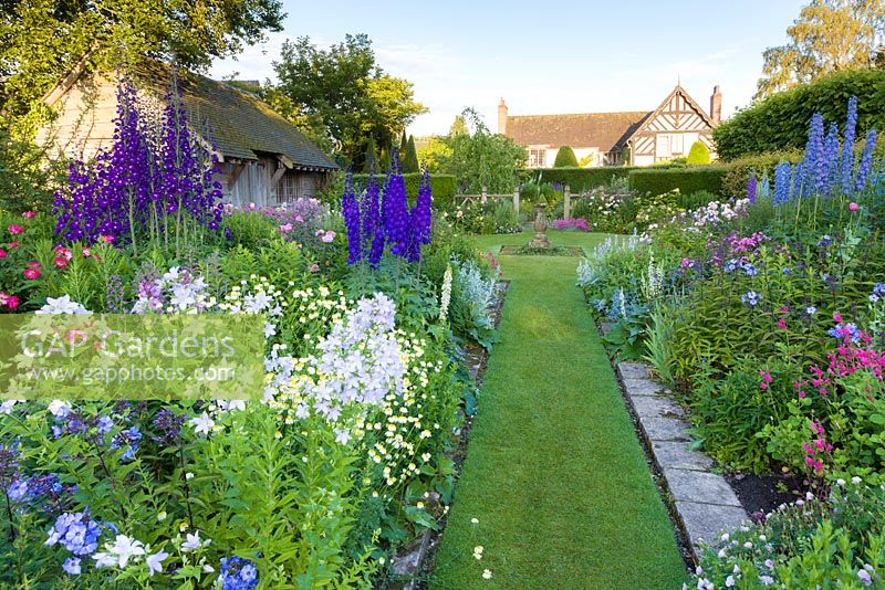Early morning in the Sundial Garden, looking towards the 16th century house at Wollerton Old Hall Garden, Shropshire. Planting includes - Campanula lactiflora, Delphiniums, Phlox paniculata, Stachys and David Austin roses. Photographed in July