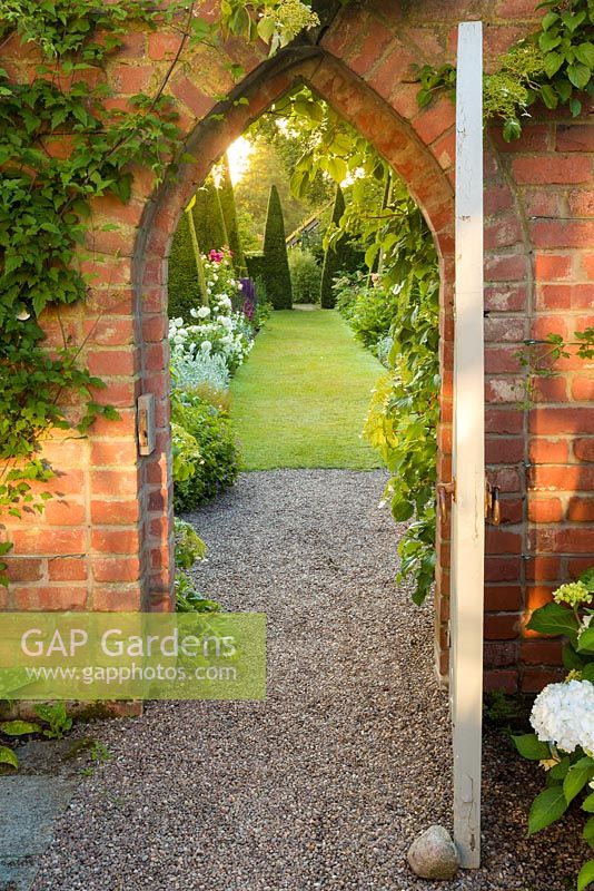 The dawn sun shines through a gate leading to The Yew Walk at Wollerton Old Hall Garden Shropshire. This area of the garden features tall, clipped yew pyramids together with roses, Salvia and Penstemons.