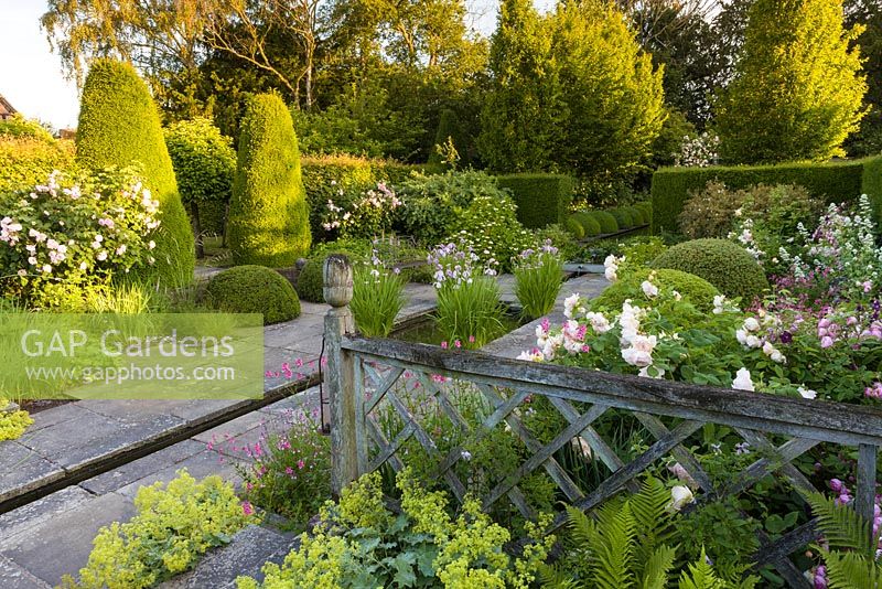 The Lower Rill Garden at Wollerton Old Hall Garden, Shropshire, planting includes Rosa Wollerton Old Hall, Iris ensata, Hydrangeas and Alchemilla mollis