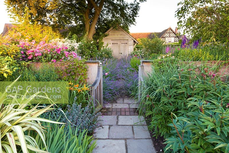 The gateway leading to the Rose Garden at Wollerton Old Hall Garden, Shropshire, photographed in July. It features David Austin roses as well as a wide range of herbaceous plants, including Delphiniums and  Nepeta 'Six Hills Giant' which tumbles freely across the path.