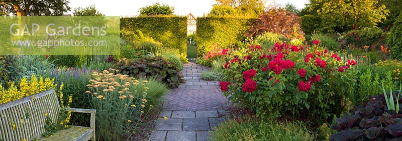 A panoramic image of the Lanhydrock Garden, with a view towards the house, at Wollerton Old Hall Garden, Shropshire. Planting includes: Ligularias, roses, Alstroemerias, Veronicastrums, Heleniums, Lysimachia vulgaris and Achilleas.