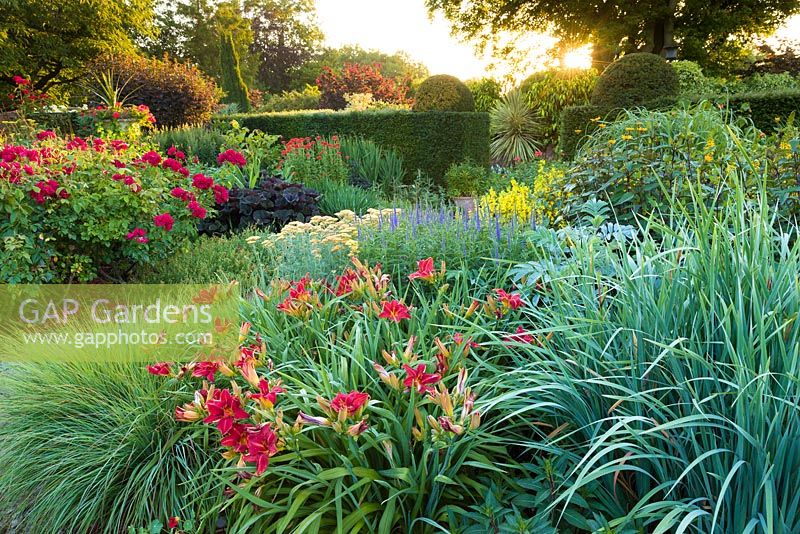 The Lanhydrock Garden at Wollerton Old Hall Garden, Shropshire, features hot coloured plants from July to September. These include Achillea, Hemerocallis, Helianthus, Lychnis and roses