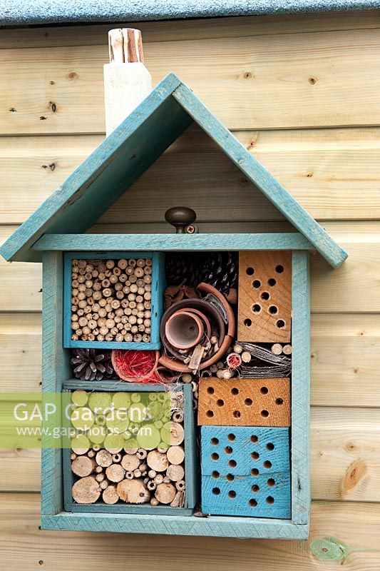 Insect or bug hotel 