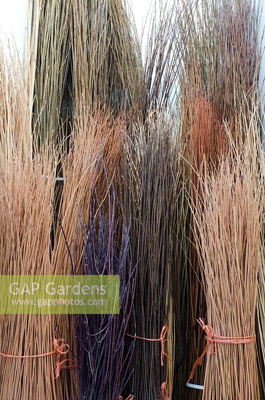 Colourful bundles of mixed willow stems